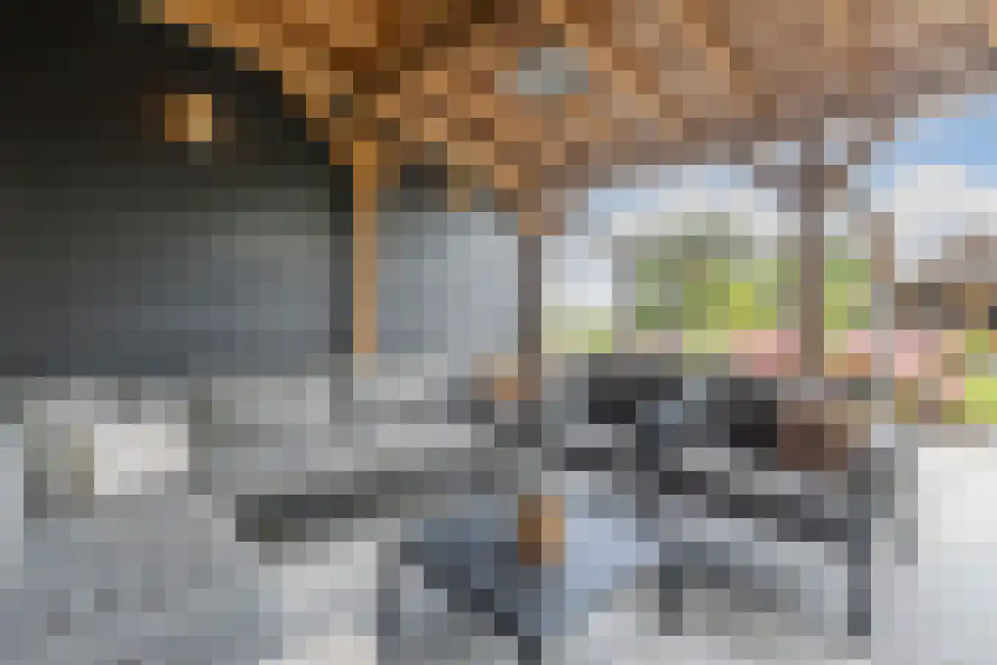 Buitenkerk 74 Zwammerdam thumbnail 75