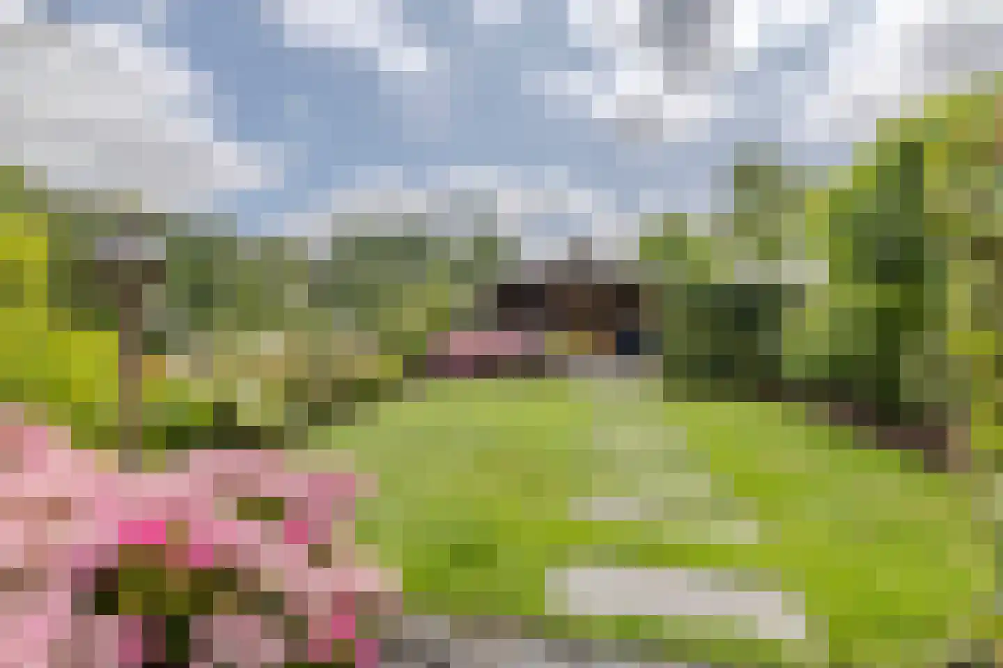 Buitenkerk 74 Zwammerdam thumbnail 76