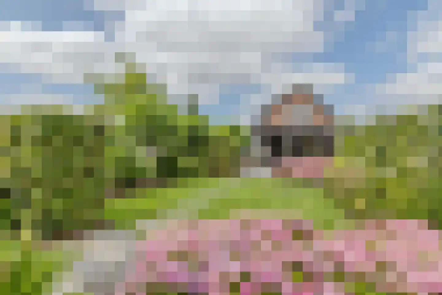 Buitenkerk 74 Zwammerdam thumbnail 80
