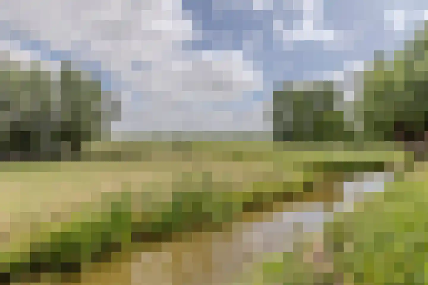 Buitenkerk 74 Zwammerdam thumbnail 82