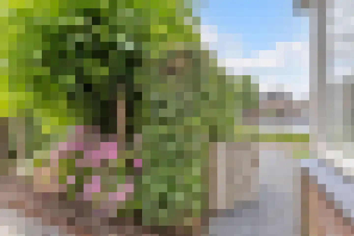 Buitenkerk 74 Zwammerdam thumbnail 85
