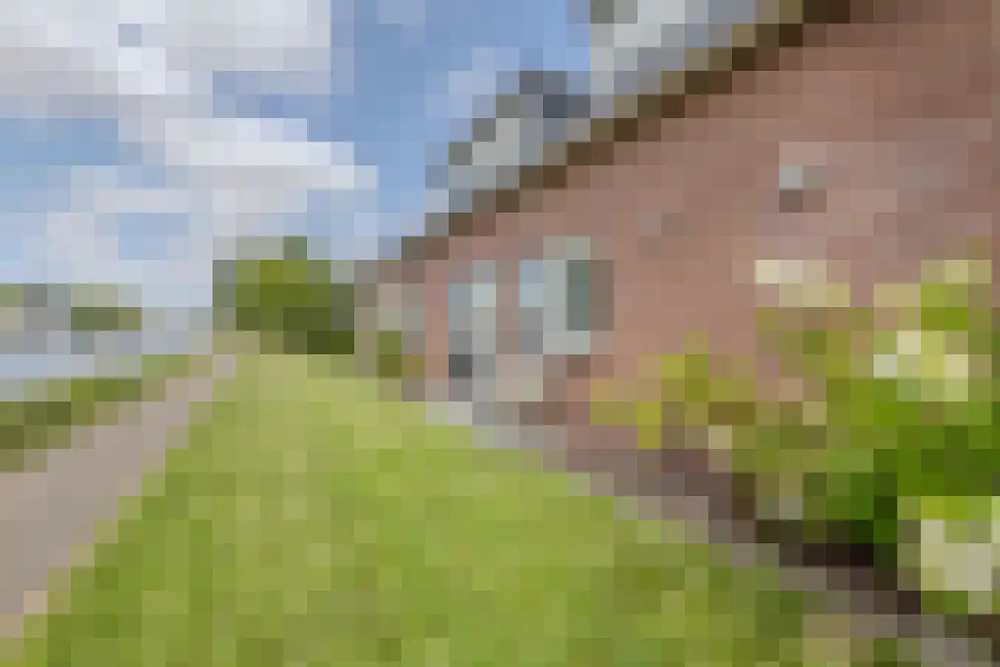 Buitenkerk 74 Zwammerdam thumbnail 87
