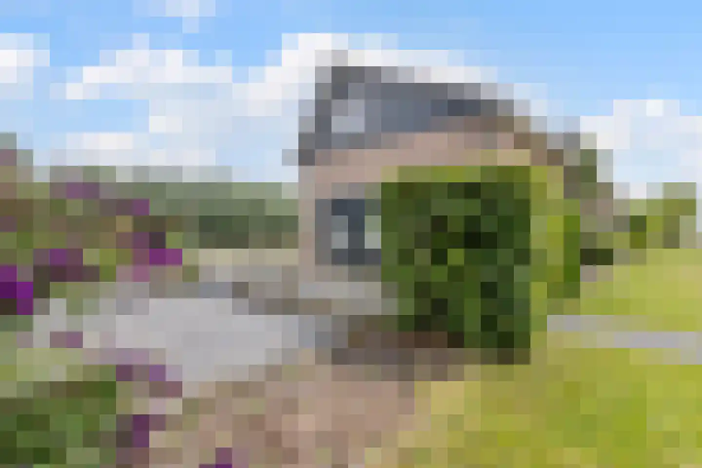 Buitenkerk 74 Zwammerdam thumbnail 90