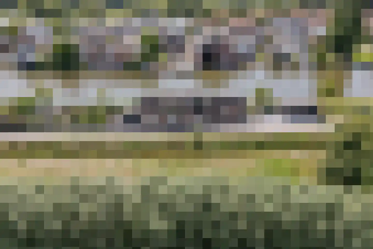 Buitenkerk 74 Zwammerdam thumbnail 91