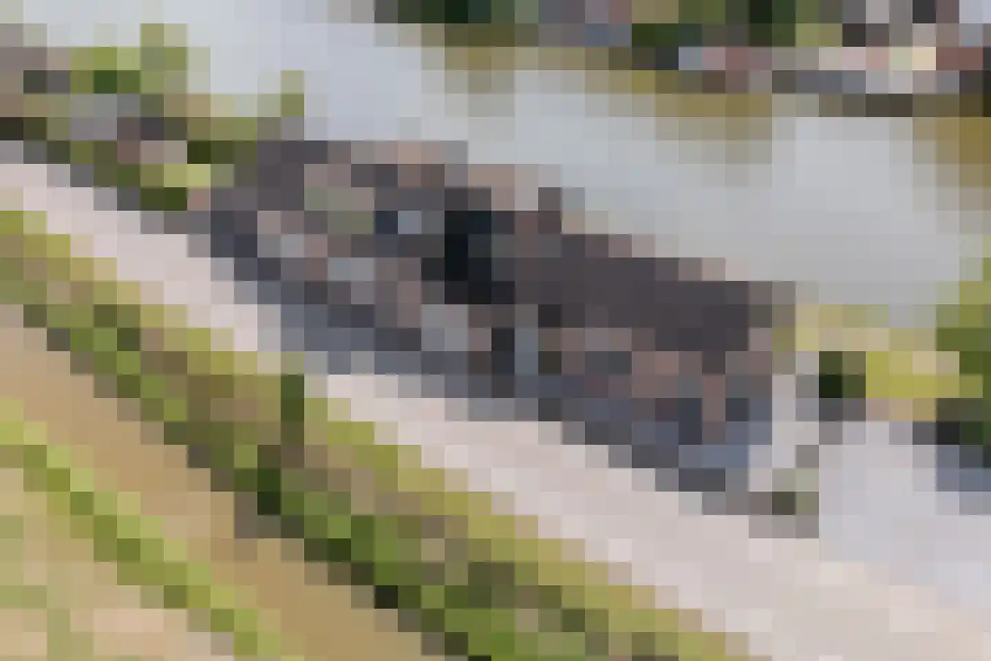 Buitenkerk 74 Zwammerdam thumbnail 92