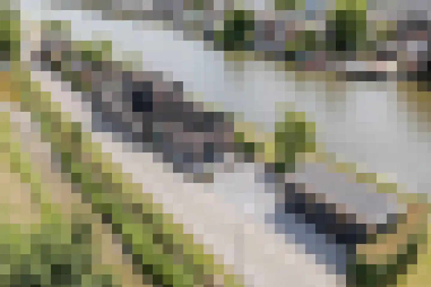 Buitenkerk 74 Zwammerdam thumbnail 93