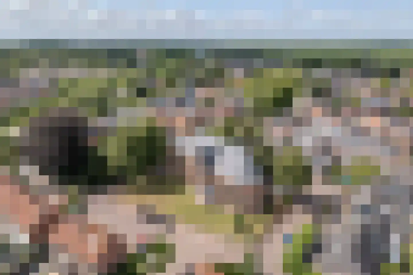 Buitenkerk 74 Zwammerdam thumbnail 97