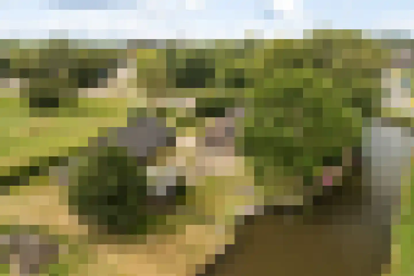 Buitenkerk 80 Zwammerdam thumbnail 11