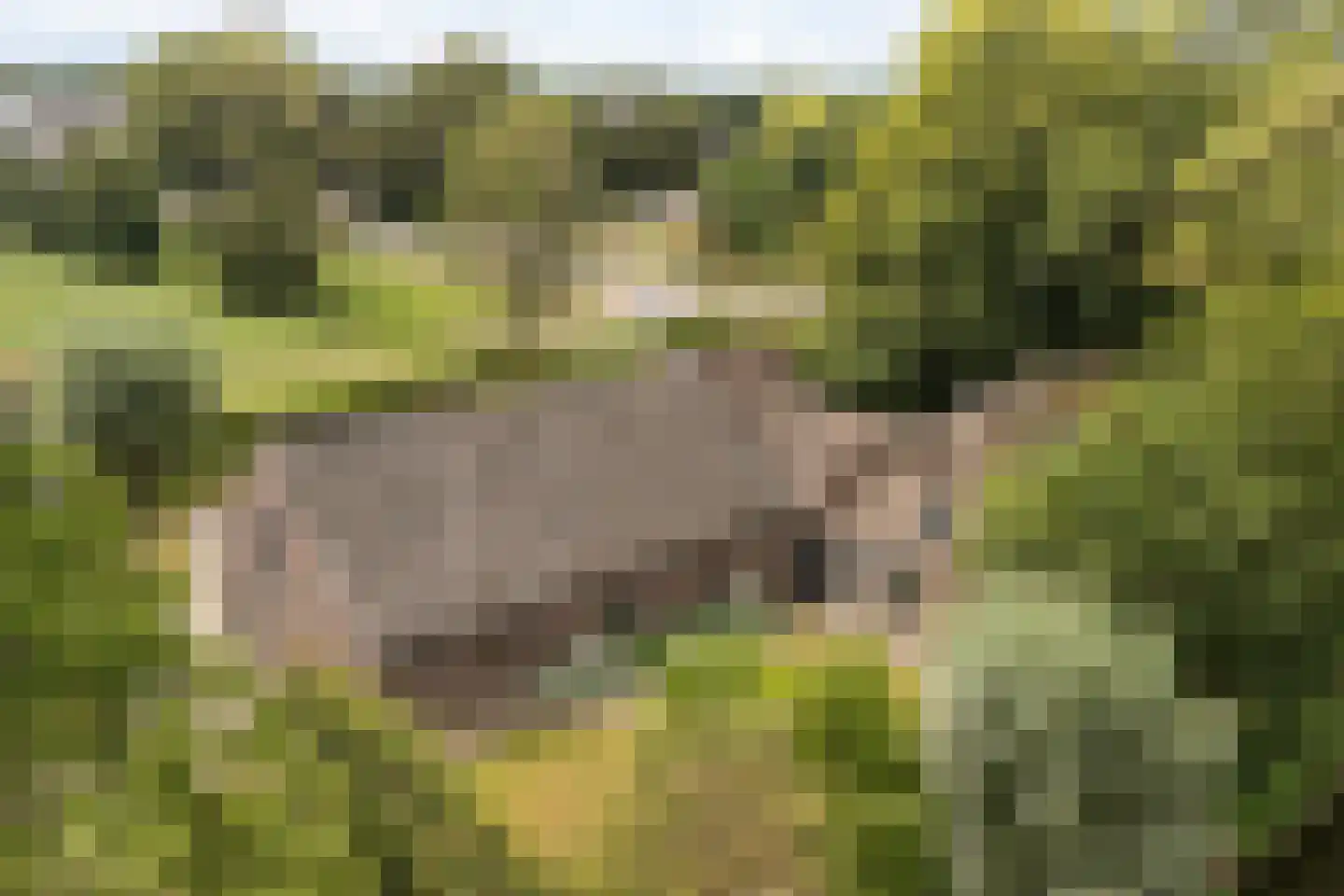 Buitenkerk 80 Zwammerdam thumbnail 13