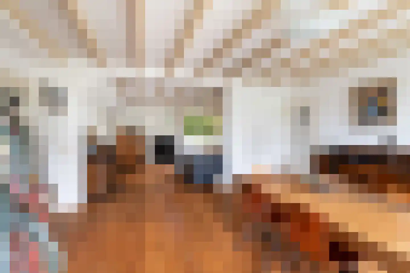 Buitenkerk 80 Zwammerdam thumbnail 29