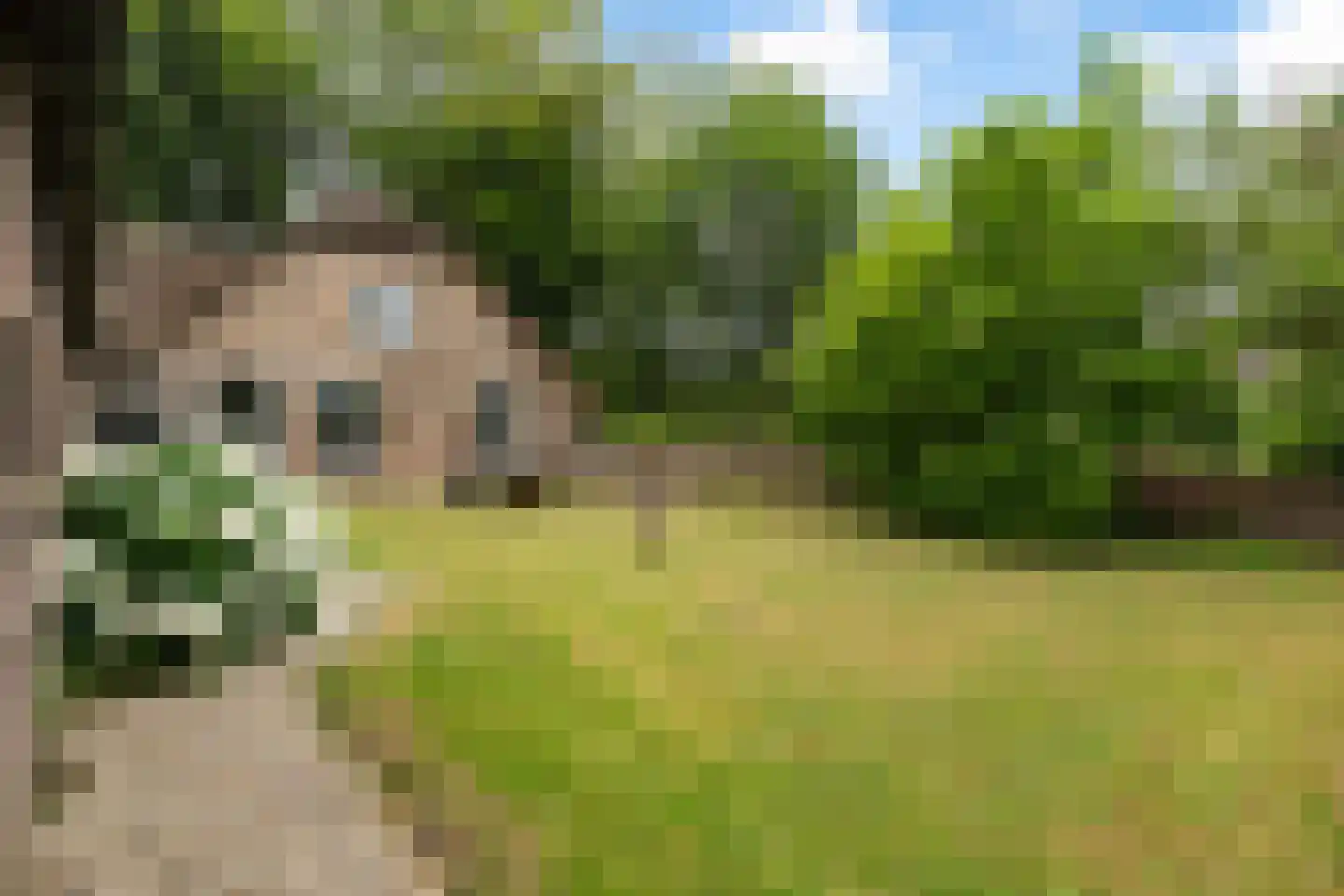 Buitenkerk 80 Zwammerdam thumbnail 36