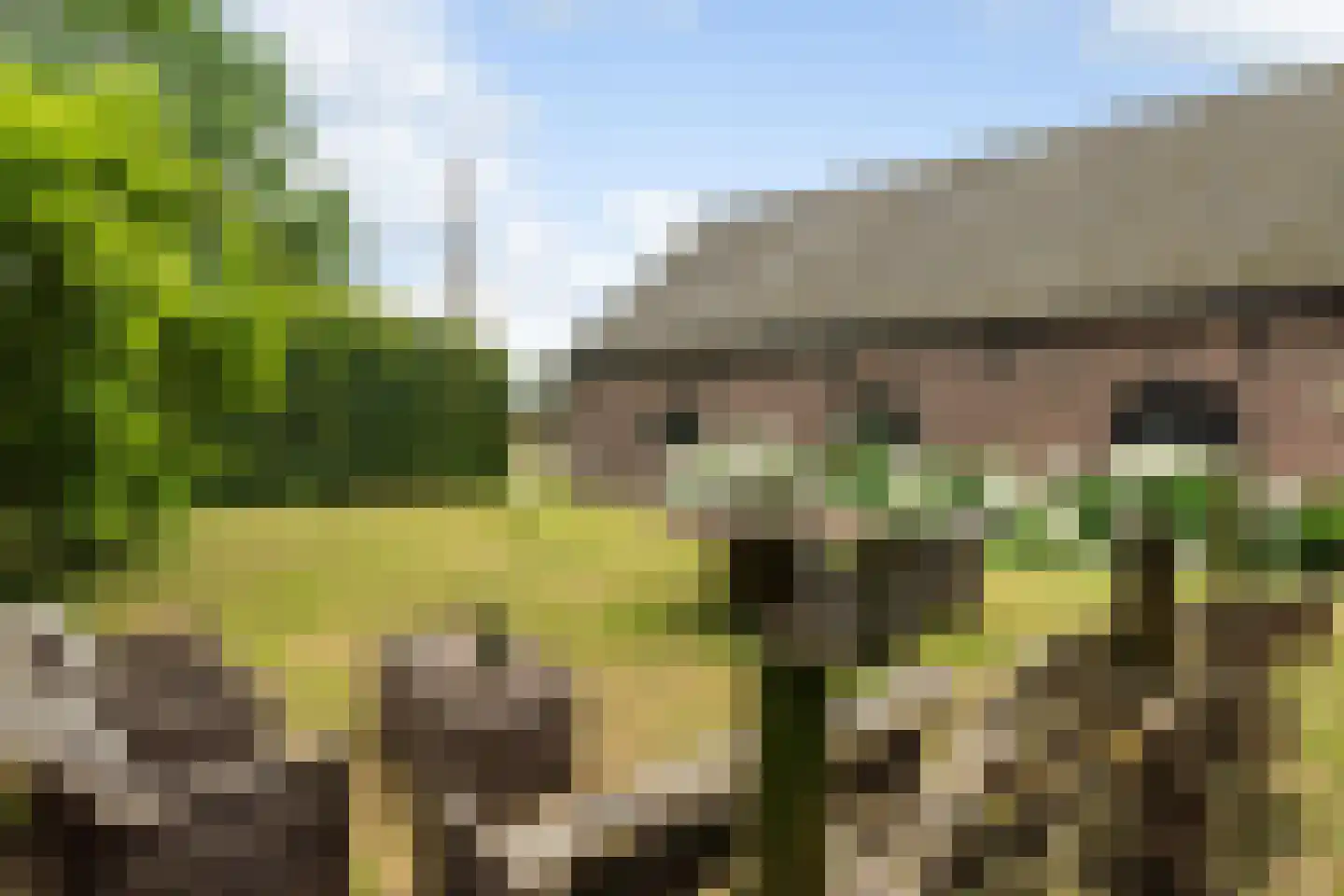Buitenkerk 80 Zwammerdam thumbnail 4