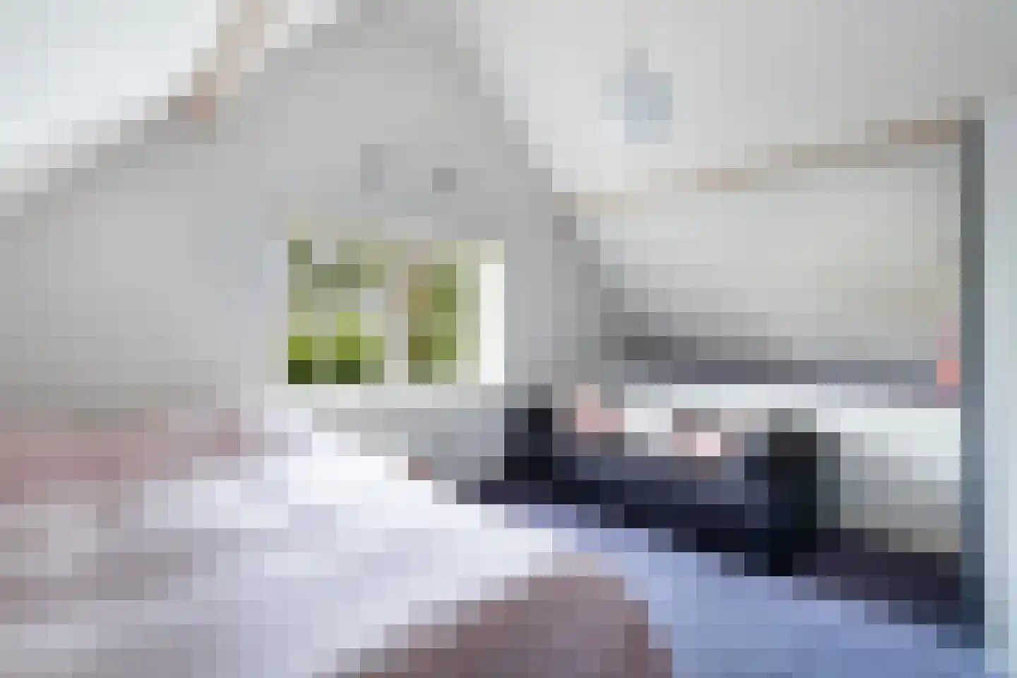Buitenkerk 80 Zwammerdam thumbnail 45
