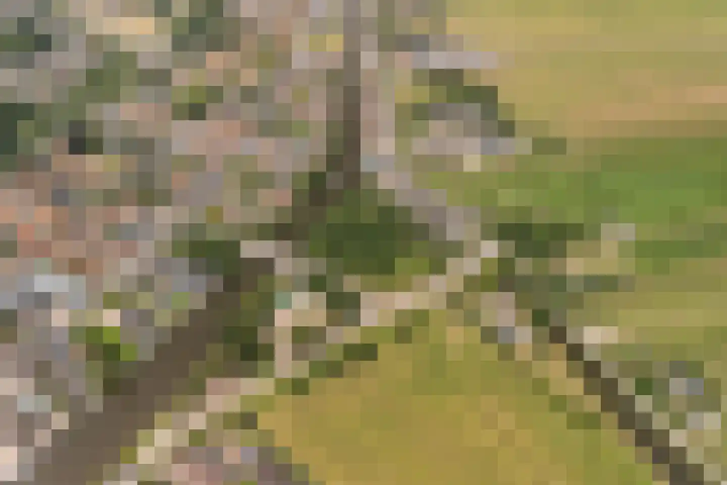 Buitenkerk 80 Zwammerdam thumbnail 6