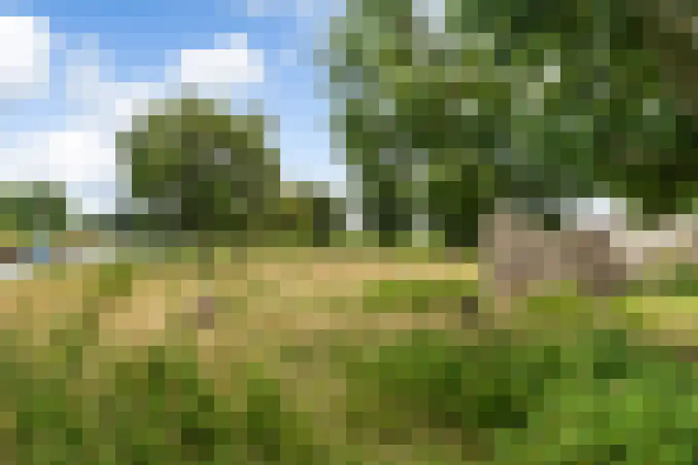 Buitenkerk 80 Zwammerdam thumbnail 64