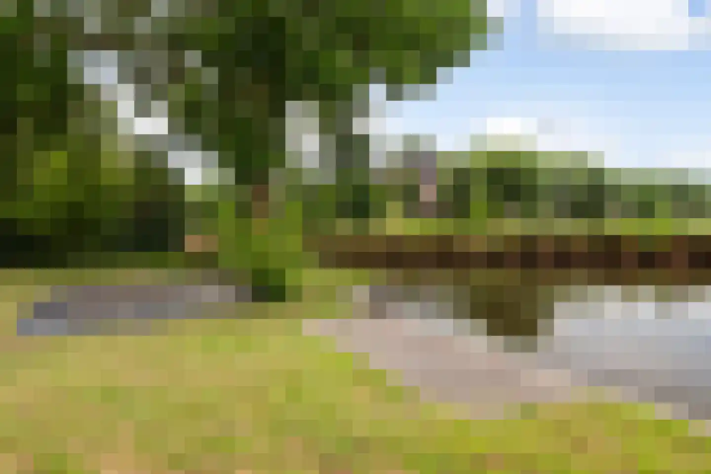 Buitenkerk 80 Zwammerdam thumbnail 65