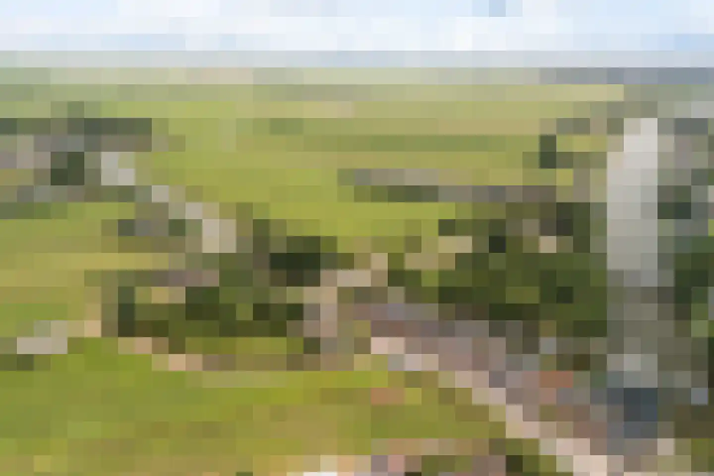 Buitenkerk 80 Zwammerdam thumbnail 67