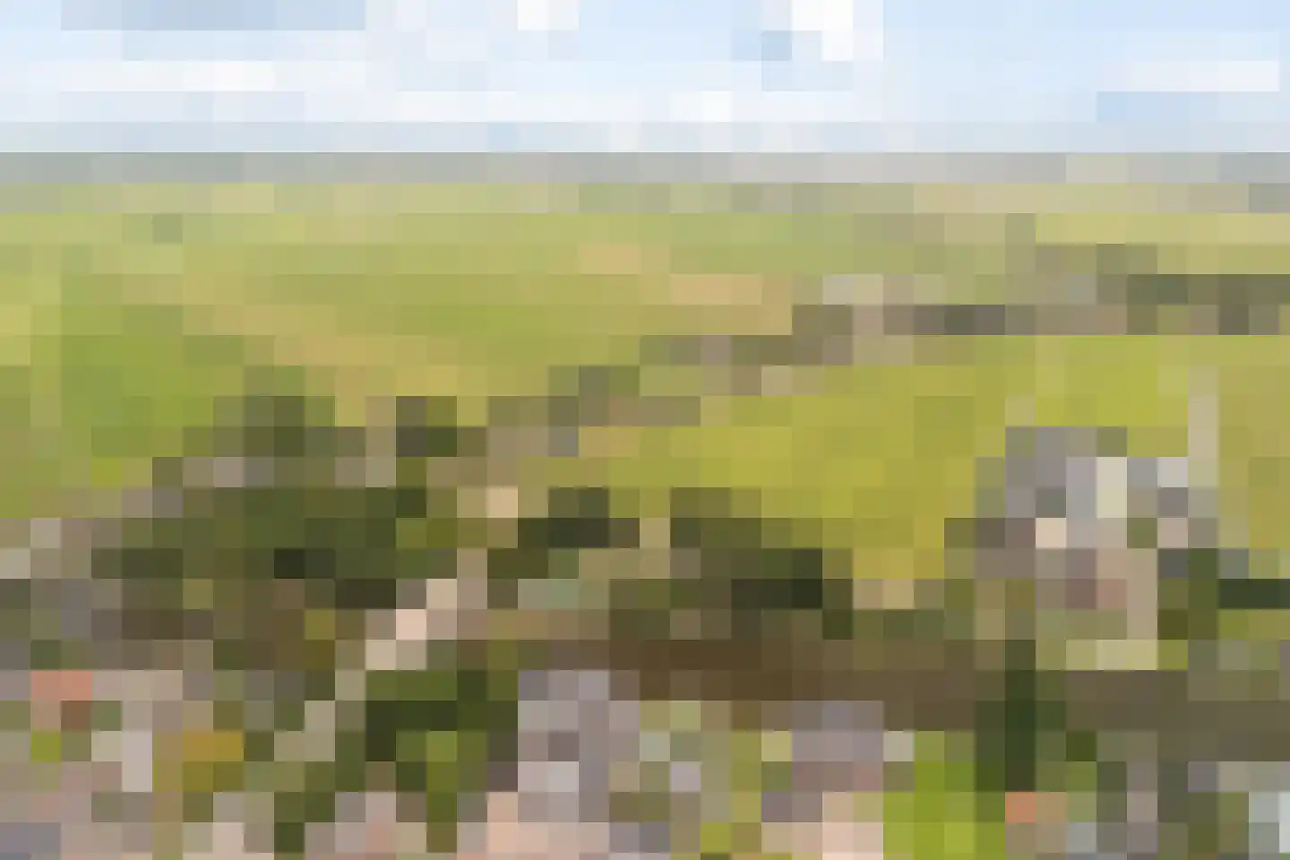 Buitenkerk 80 Zwammerdam thumbnail 69