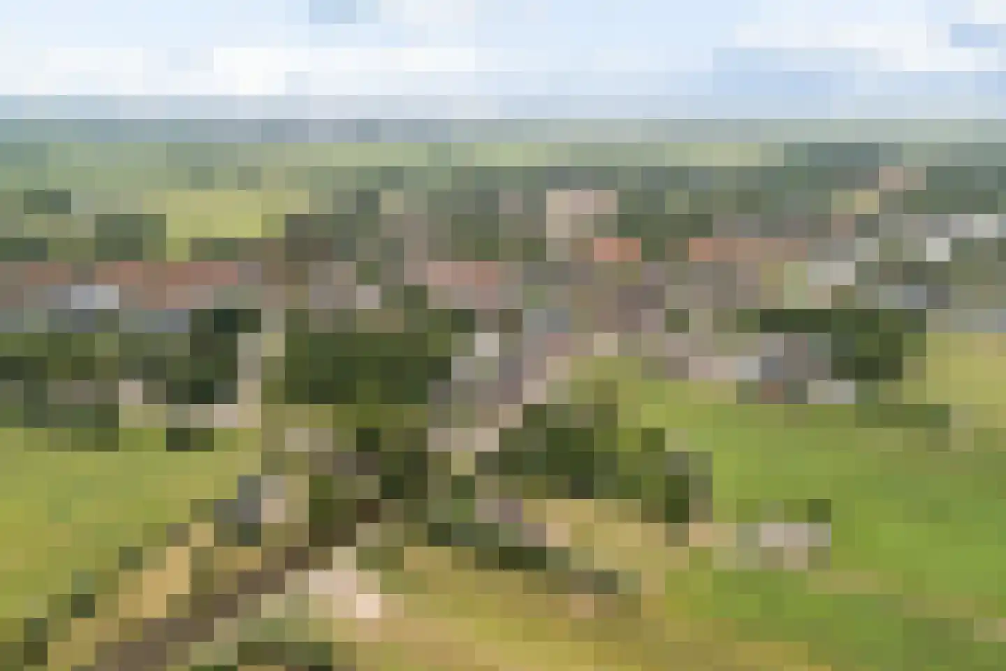 Buitenkerk 80 Zwammerdam thumbnail 7