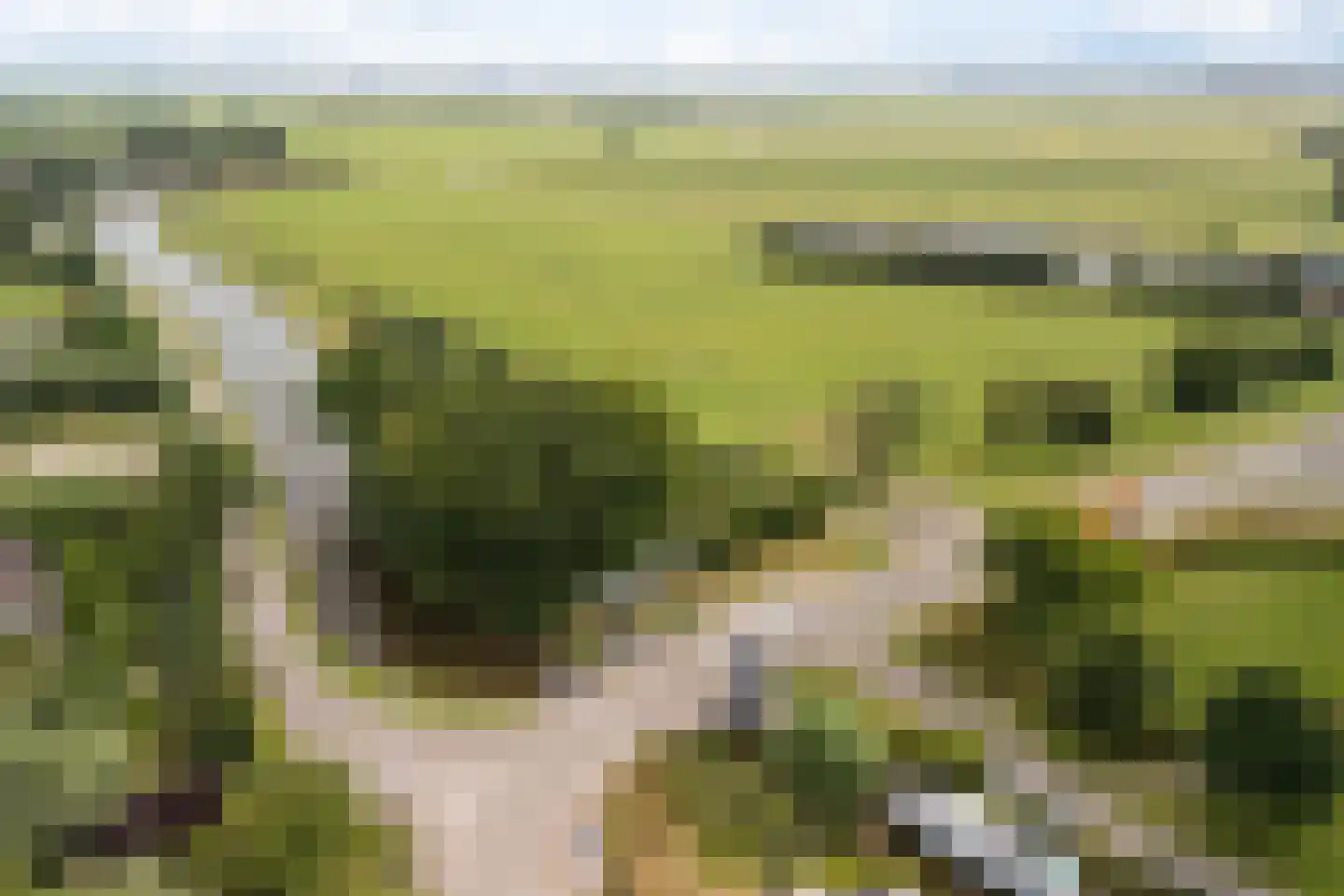 Buitenkerk 80 Zwammerdam thumbnail 8