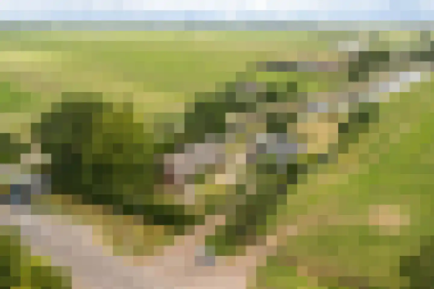 Buitenkerk 80 Zwammerdam thumbnail 9