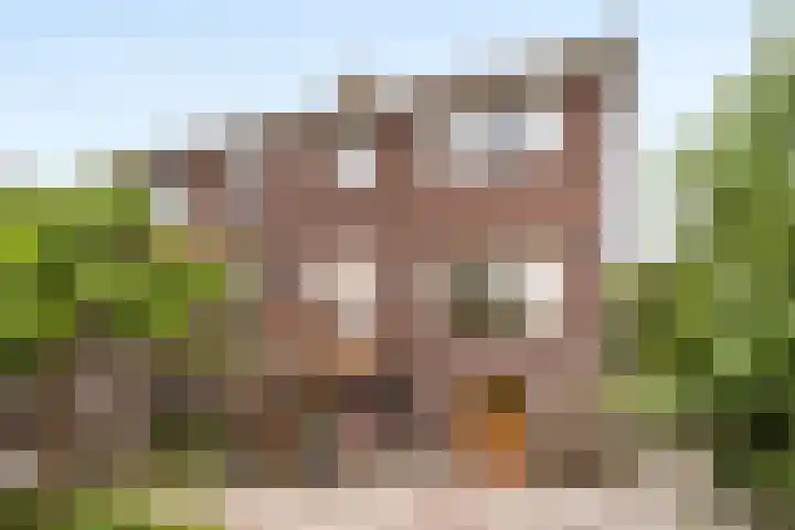 Buitenkerklaan 24 Schiedam thumbnail 34
