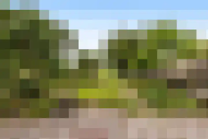 Buitenkerklaan 24 Schiedam thumbnail 36