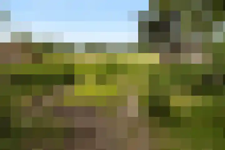 Buitenkerklaan 24 Schiedam thumbnail 37