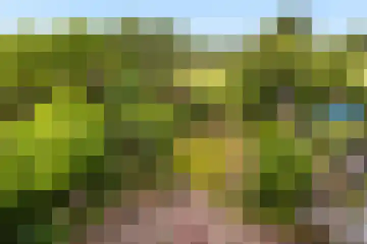 Buitenkerklaan 24 Schiedam thumbnail 39