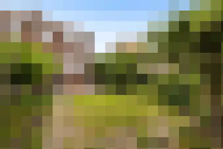 Buitenkerklaan 24 Schiedam thumbnail 5