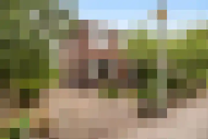 Buitenkerklaan 24 Schiedam thumbnail 7