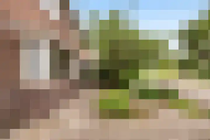 Buitenkerklaan 24 Schiedam thumbnail 8