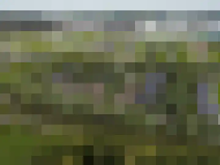 Buitenkluiver 11 Meerstad thumbnail 5