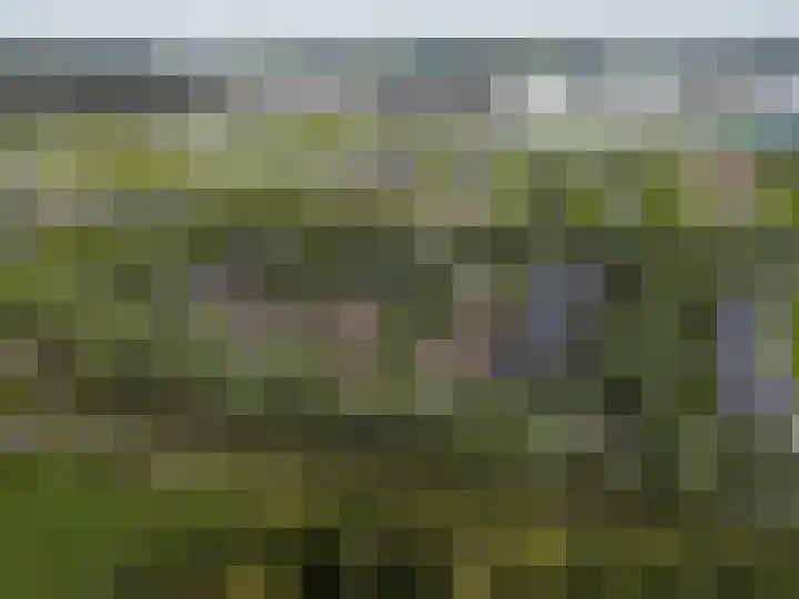 Buitenkluiver 5 Meerstad thumbnail 5