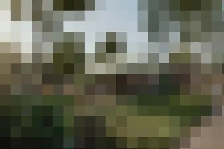 Buitenkluiver 7 Meerstad thumbnail 9