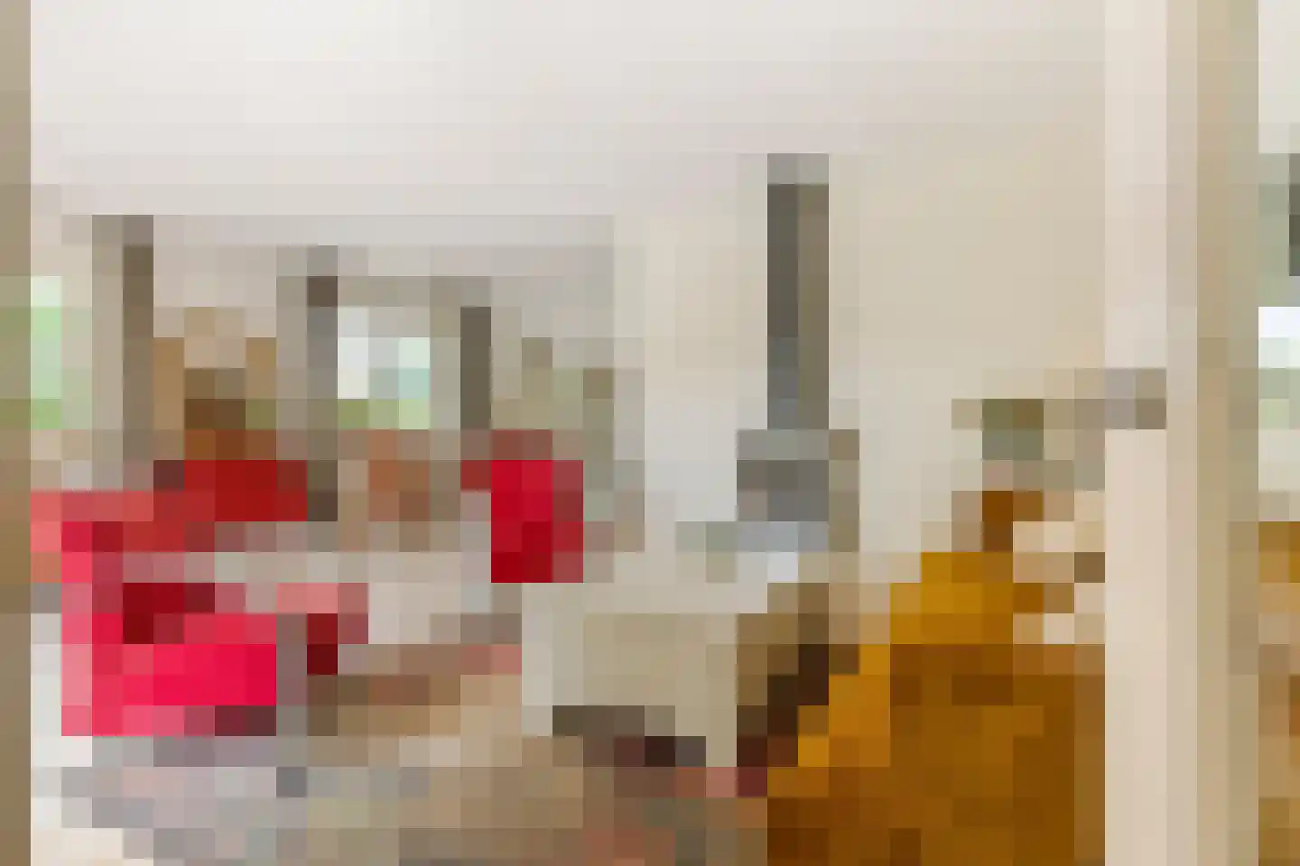 Buitenkoppel 5 Buren thumbnail 10