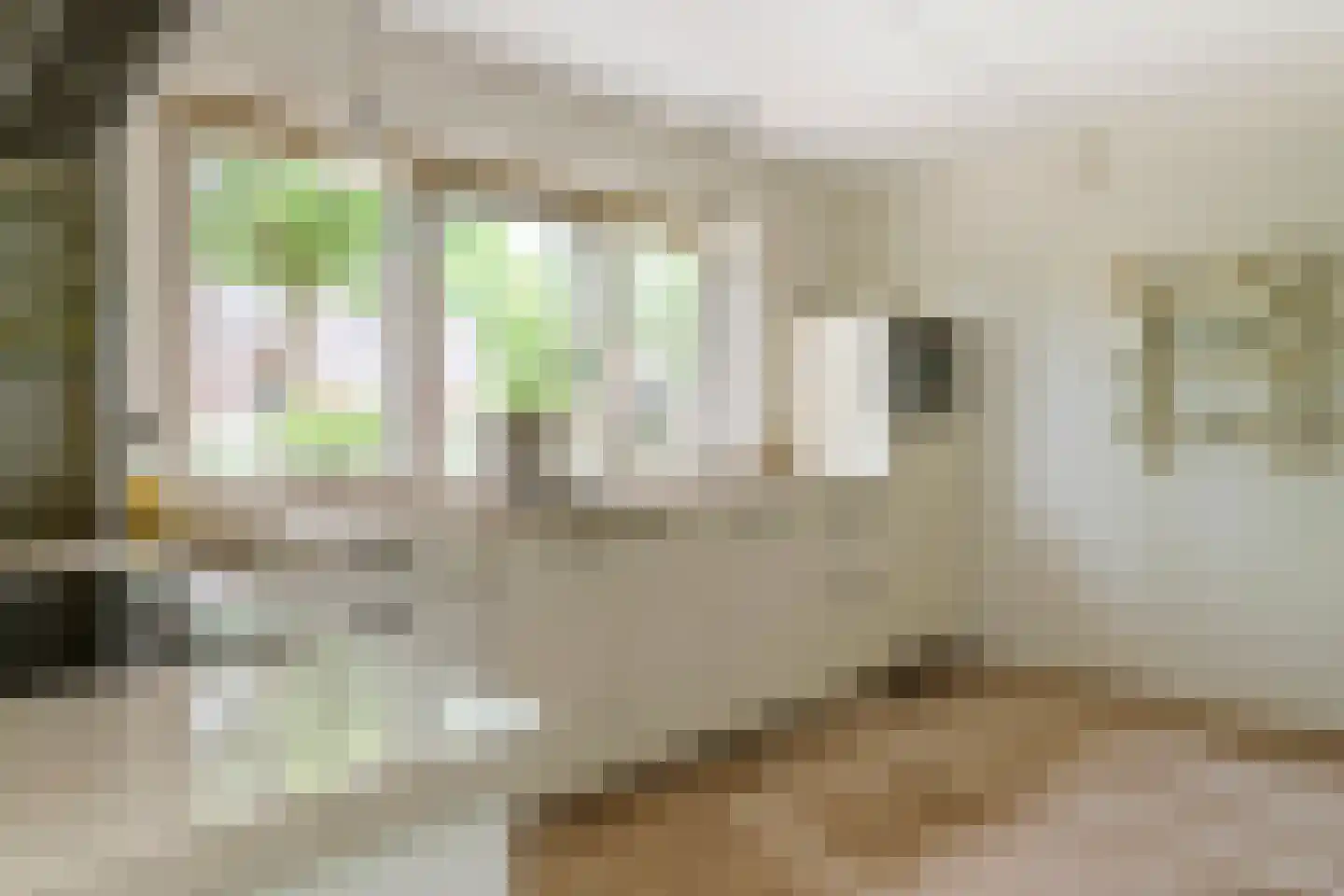 Buitenkoppel 5 Buren thumbnail 15