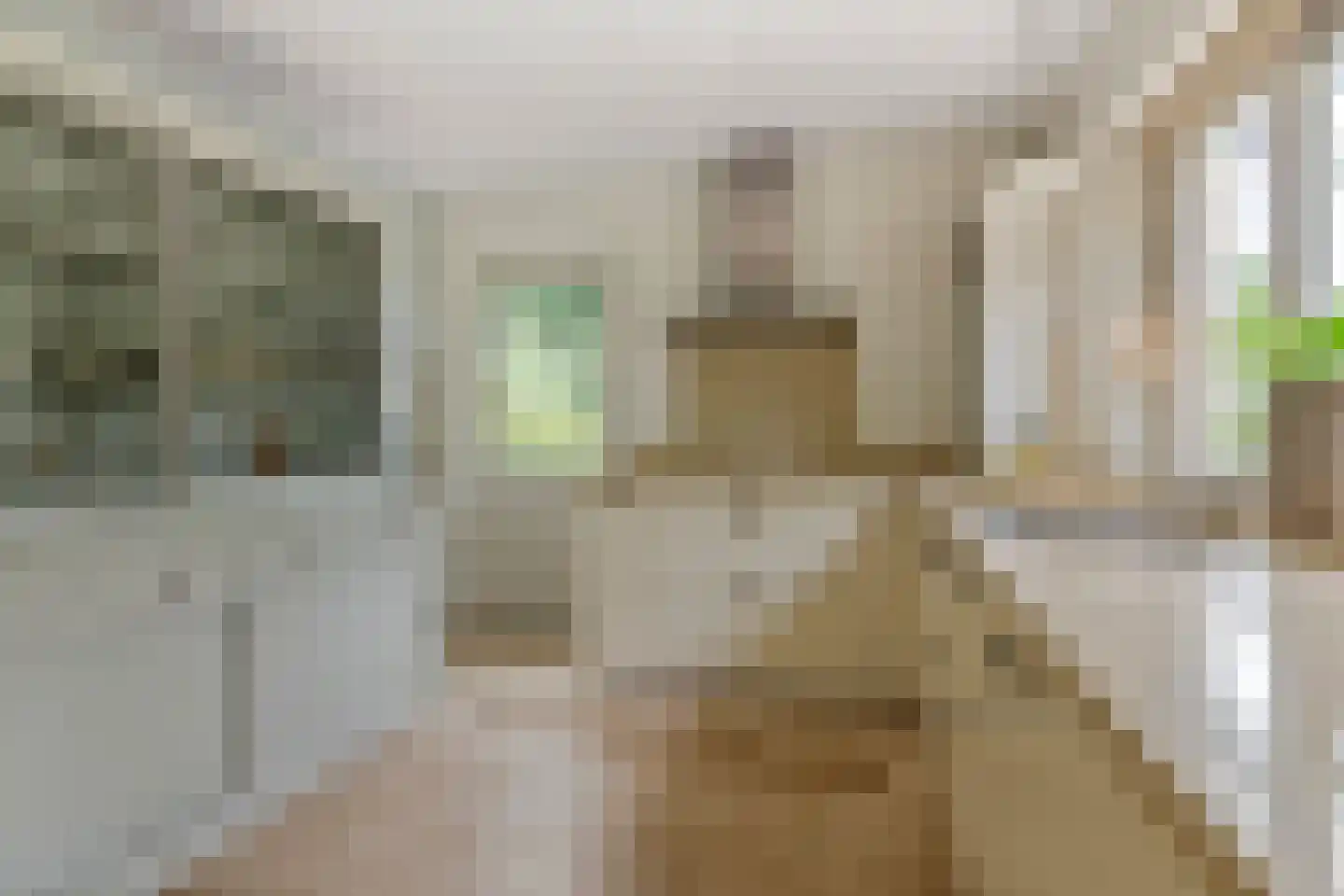 Buitenkoppel 5 Buren thumbnail 17
