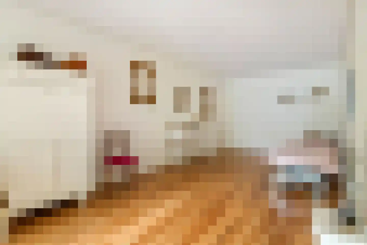 Buitenkoppel 5 Buren thumbnail 19