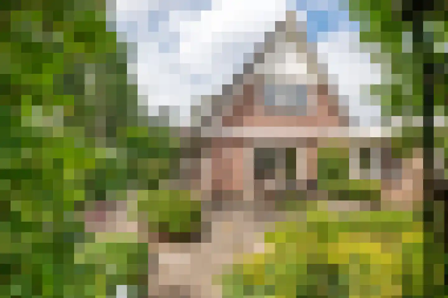 Buitenkoppel 5 Buren thumbnail 30