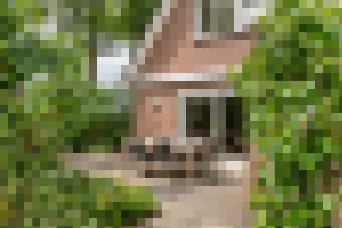 Buitenkoppel 5 Buren thumbnail 31