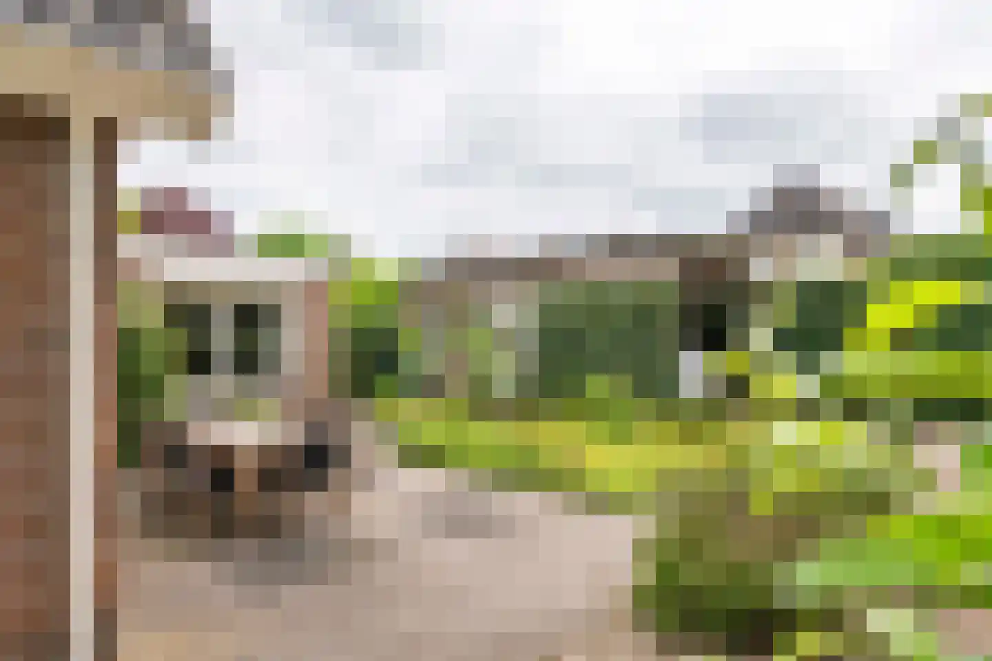 Buitenkoppel 5 Buren thumbnail 33