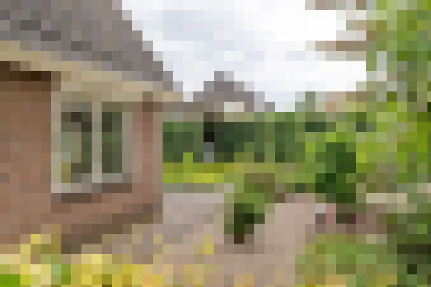 Buitenkoppel 5 Buren thumbnail 34