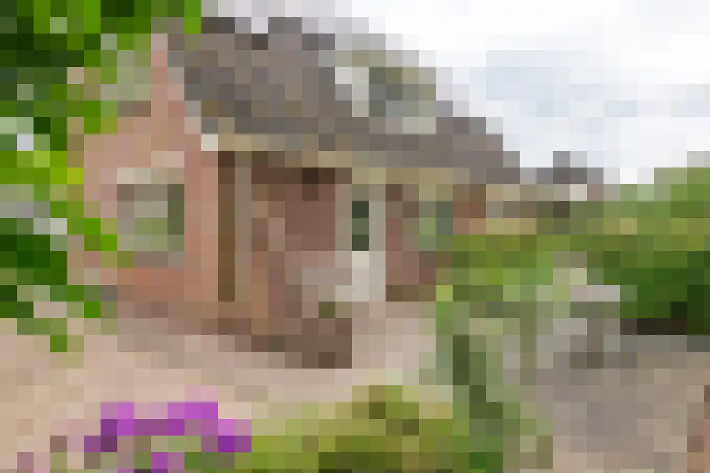 Buitenkoppel 5 Buren thumbnail 35