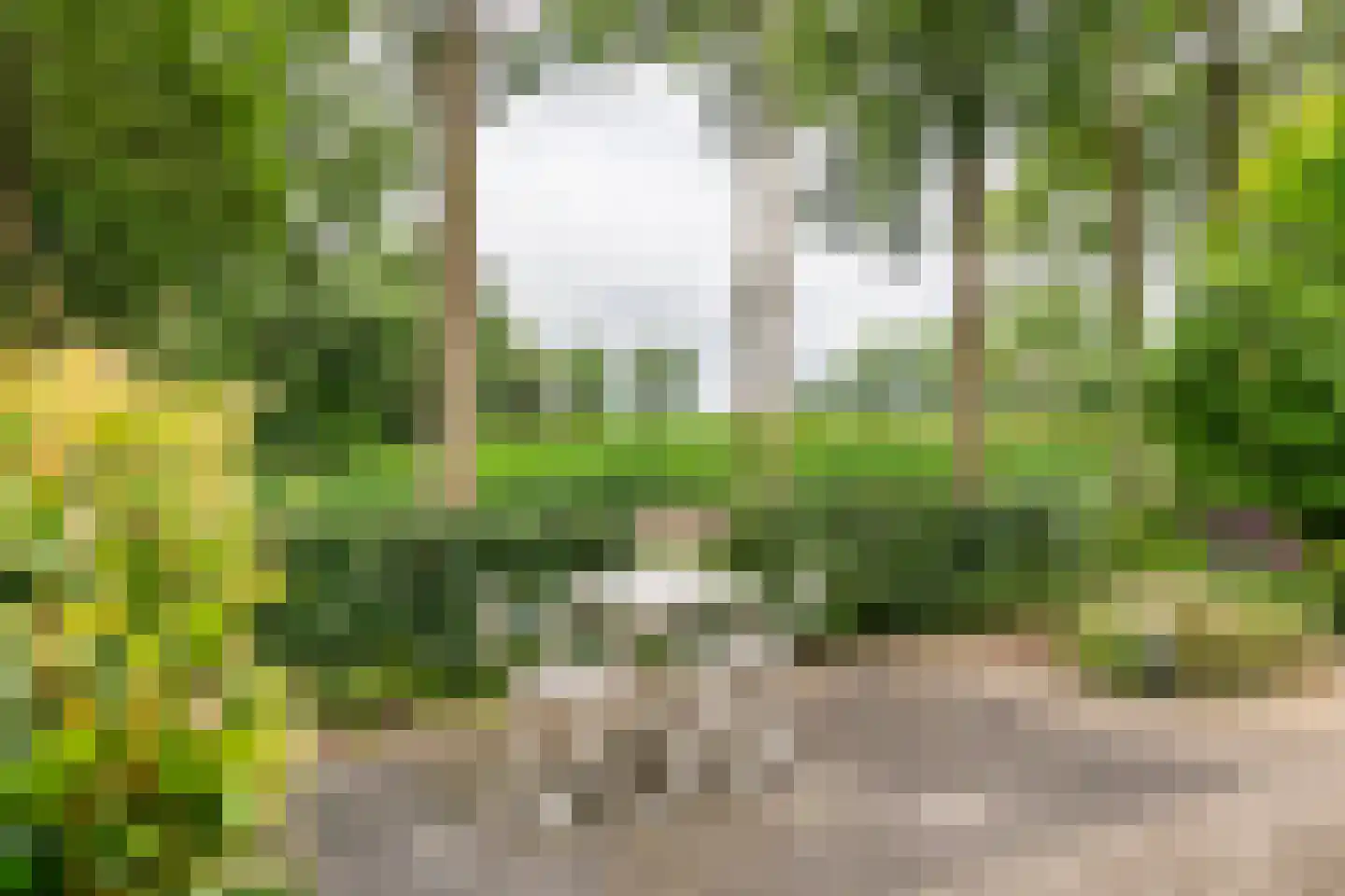 Buitenkoppel 5 Buren thumbnail 36