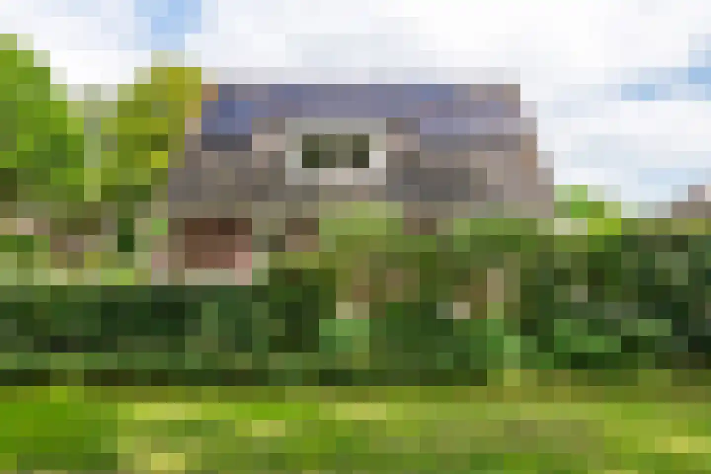 Buitenkoppel 5 Buren thumbnail 37