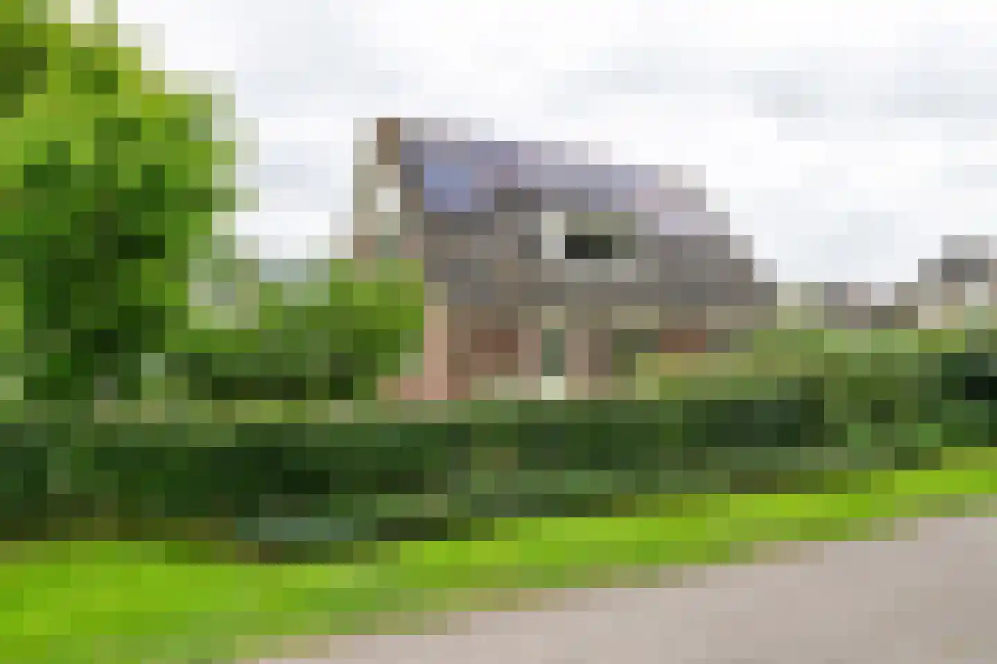 Buitenkoppel 5 Buren thumbnail 38