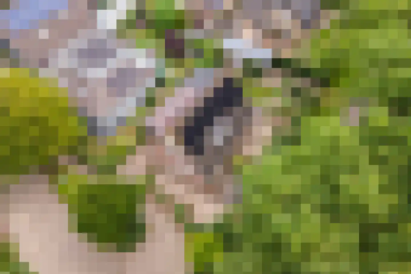 Buitenkoppel 5 Buren thumbnail 39