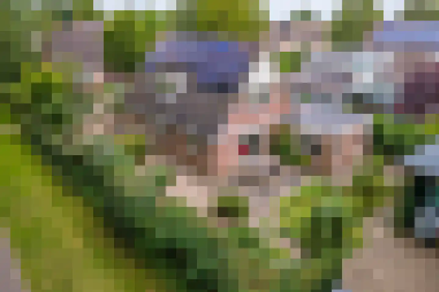 Buitenkoppel 5 Buren thumbnail 4