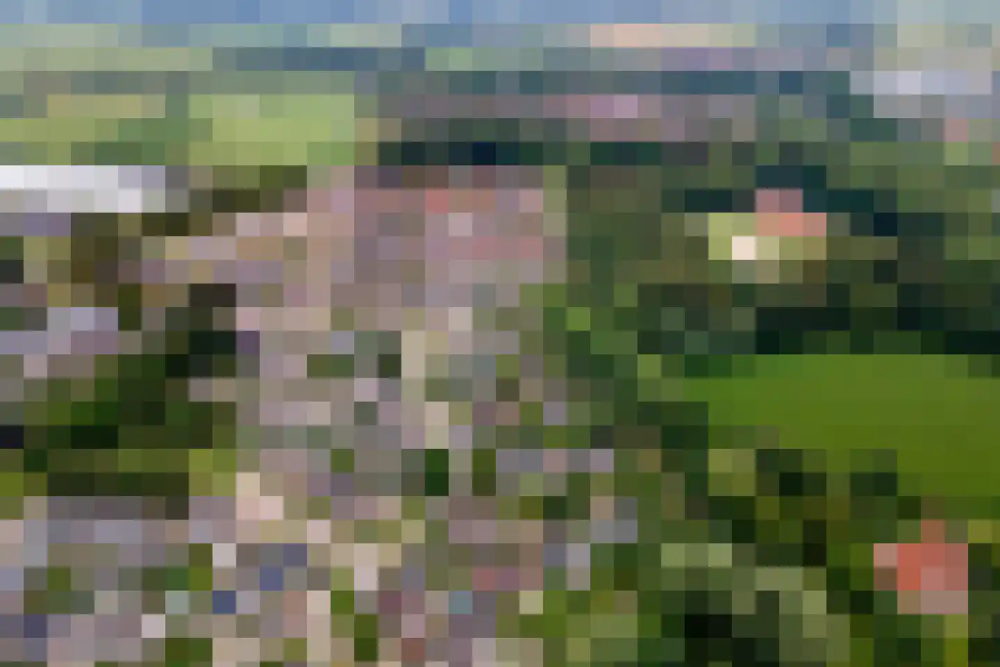 Buitenkoppel 5 Buren thumbnail 42